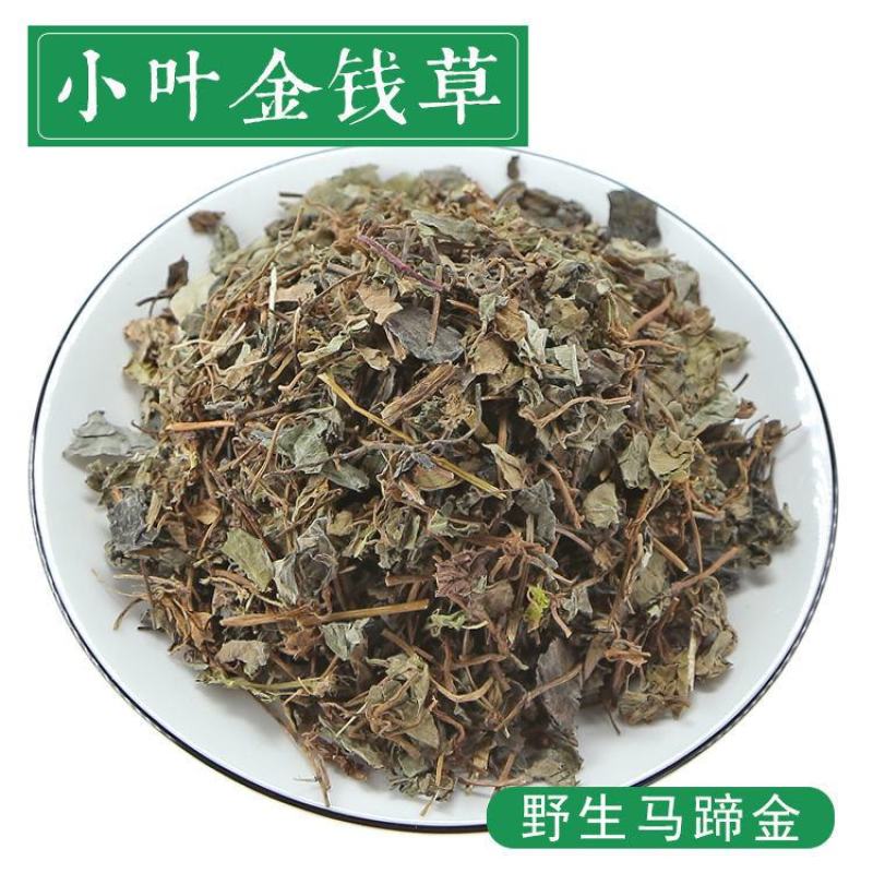 小叶金钱草野生中药材马蹄金溶石茶化石碎石小过路黄中草药