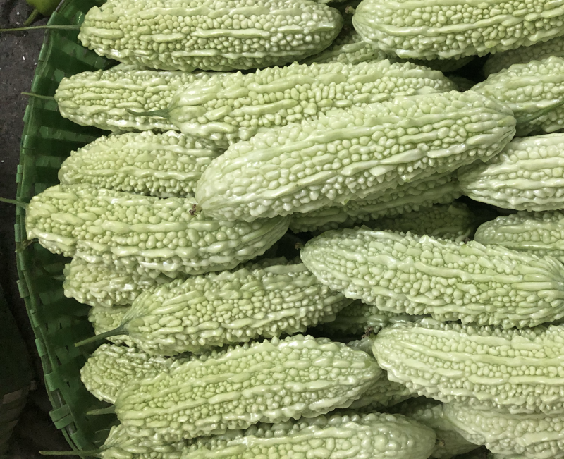 万亩精品白珍珠苦瓜绿珍珠苦瓜油身苦瓜大量供应。