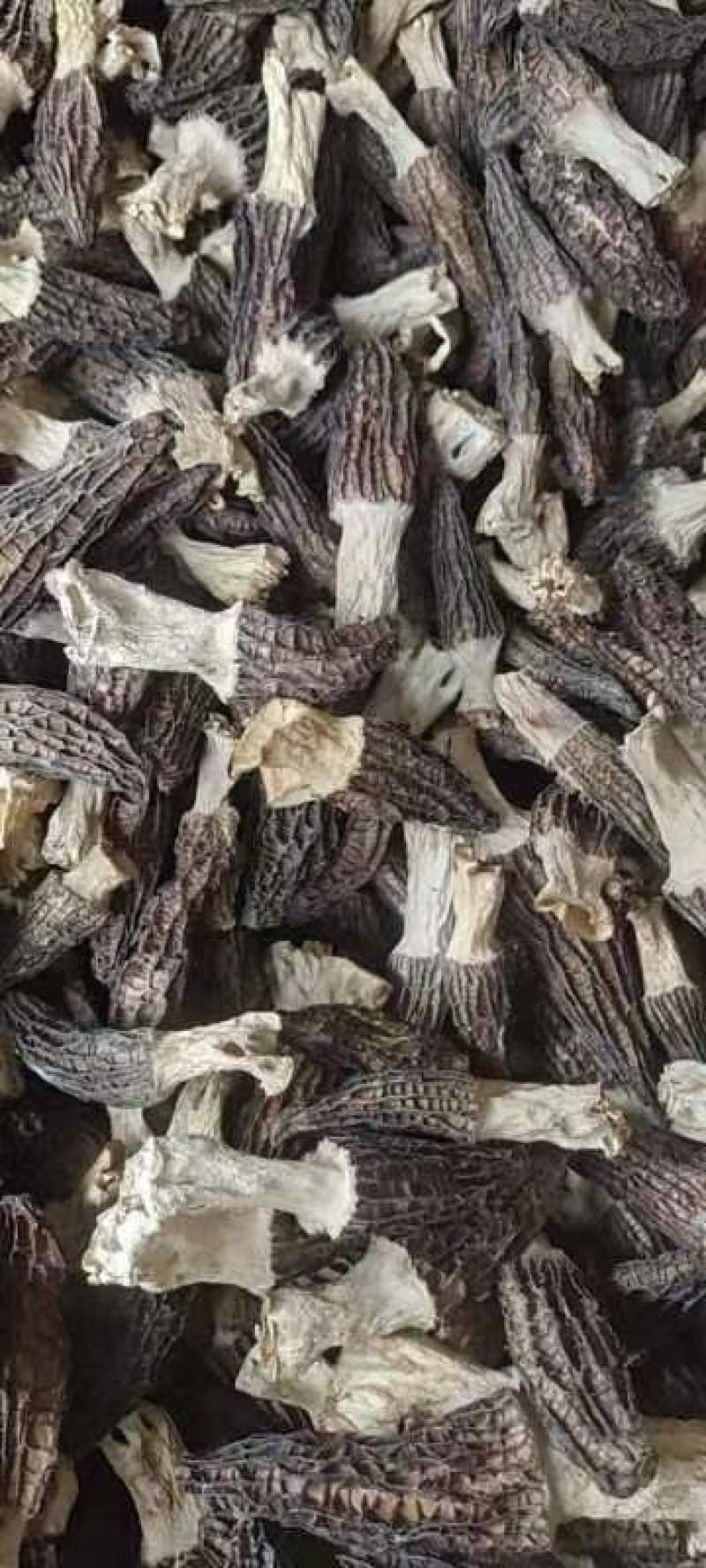 【羊肚菌】羊肚菌干货一手货源品质保证全国发货坏单包赔