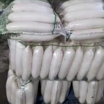 萝卜白萝产地直销批发，货源充足，量大从优，欢迎咨询订购