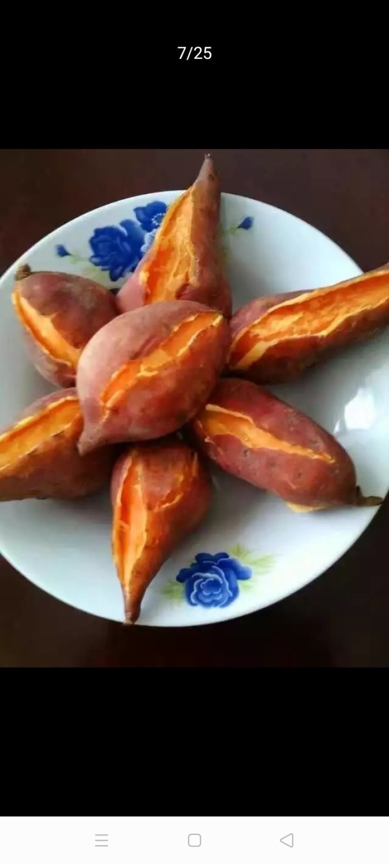 普薯32