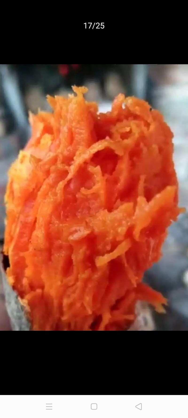 普薯32