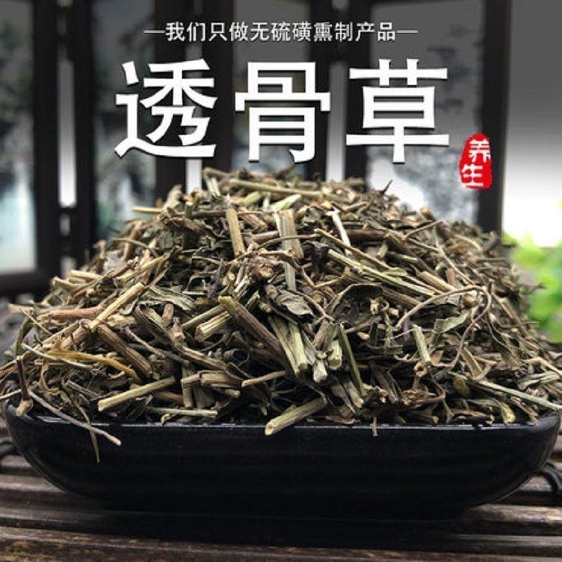 正品透骨草野生可磨透骨草粉中药透骨草珍珠透骨草中药材