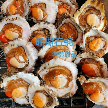 生蚝(珊瑚石蚝)，产地：广西北海市涠洲岛
