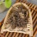 威灵仙中药材正品优质包邮野生新鲜干货散装铁扫老虎