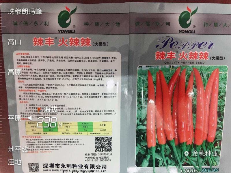辣丰火辣辣2号朝天椒种子，1000粒，大果型，红果艳亮