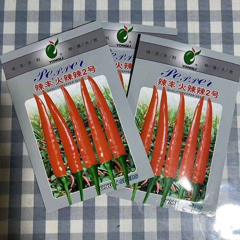 辣丰火辣辣2号朝天椒种子，1000粒，大果型，红果艳亮