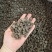 猫爪草新货猫爪草大货批发零售地道中药材