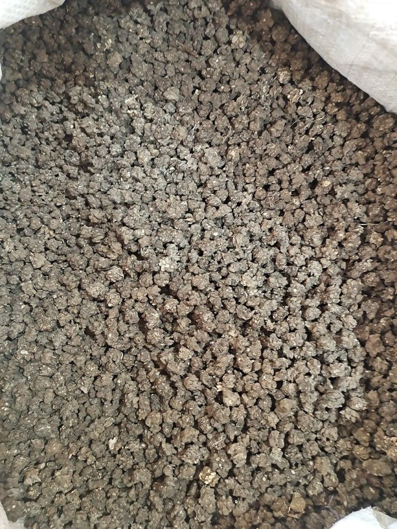 猫爪草新货猫爪草大货批发零售地道中药材