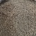 猫爪草新货猫爪草大货批发零售地道中药材