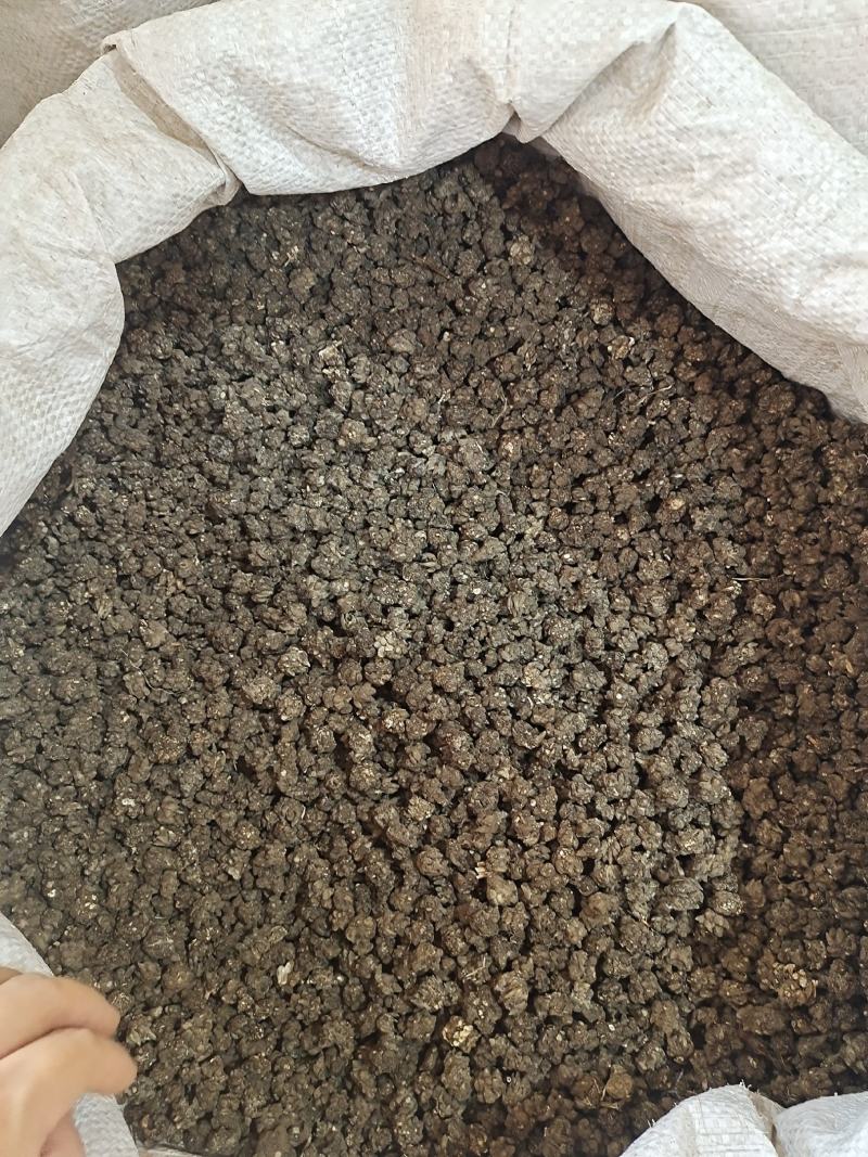 猫爪草新货猫爪草大货批发零售地道中药材