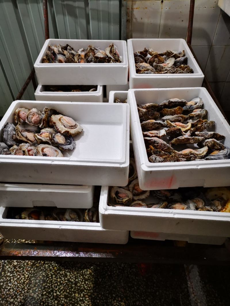 生蚝(珊瑚石蚝)，产地：广西北海市涠洲岛