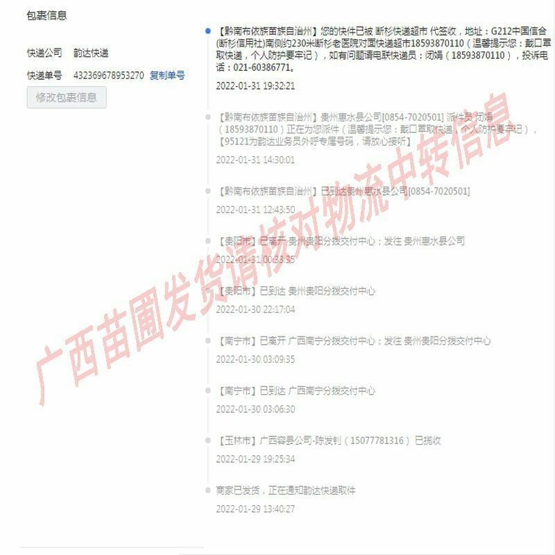 海南小青桔树苗奶茶店用果四季结果包正宗