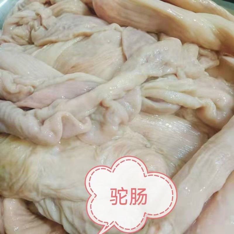 草原驼肠，纯干、新鲜、超干净！一手货源，对接全国！