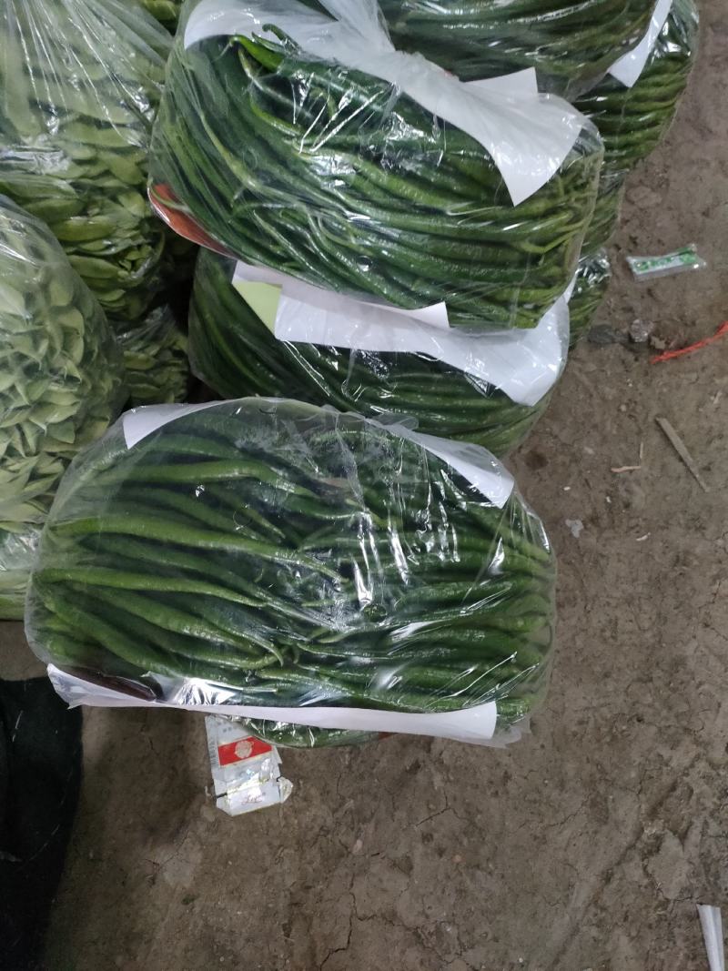 本地线椒大量上市。颜色绿条直，货源充足，价位合理。