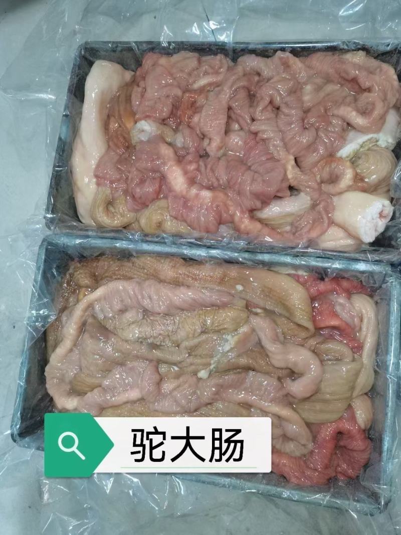 草原驼肠，纯干、新鲜、超干净！一手货源，对接全国！