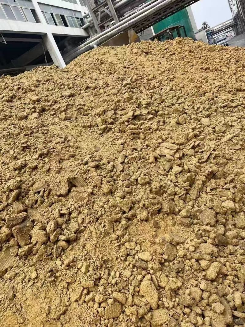 湿玉米渣装车，价格低，纯玉米的，牛养猪鸡鸭鹅