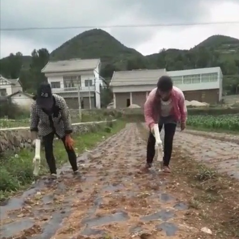 新品自动多功能小型精播机点播器萝卜生菜白菜莴笋蔬菜播种机