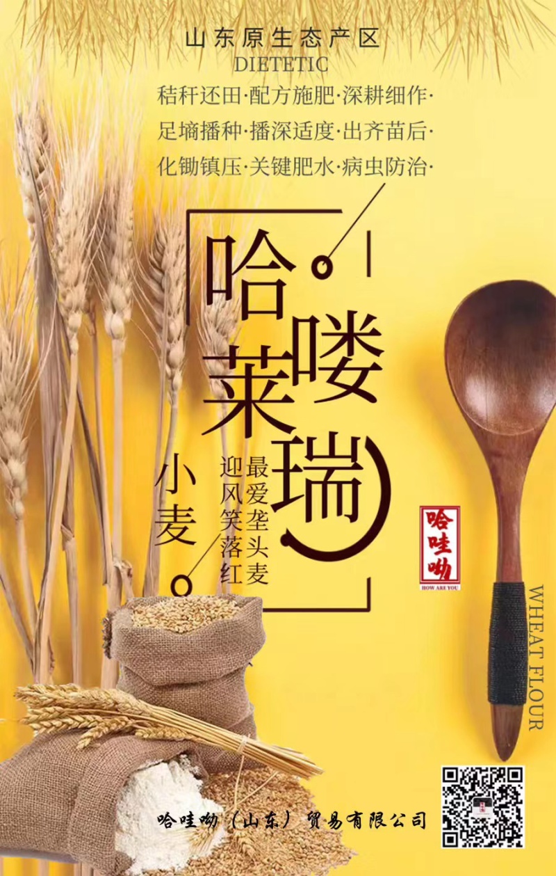 特制一等粉有机高品质，馒头，包子，饺子必备