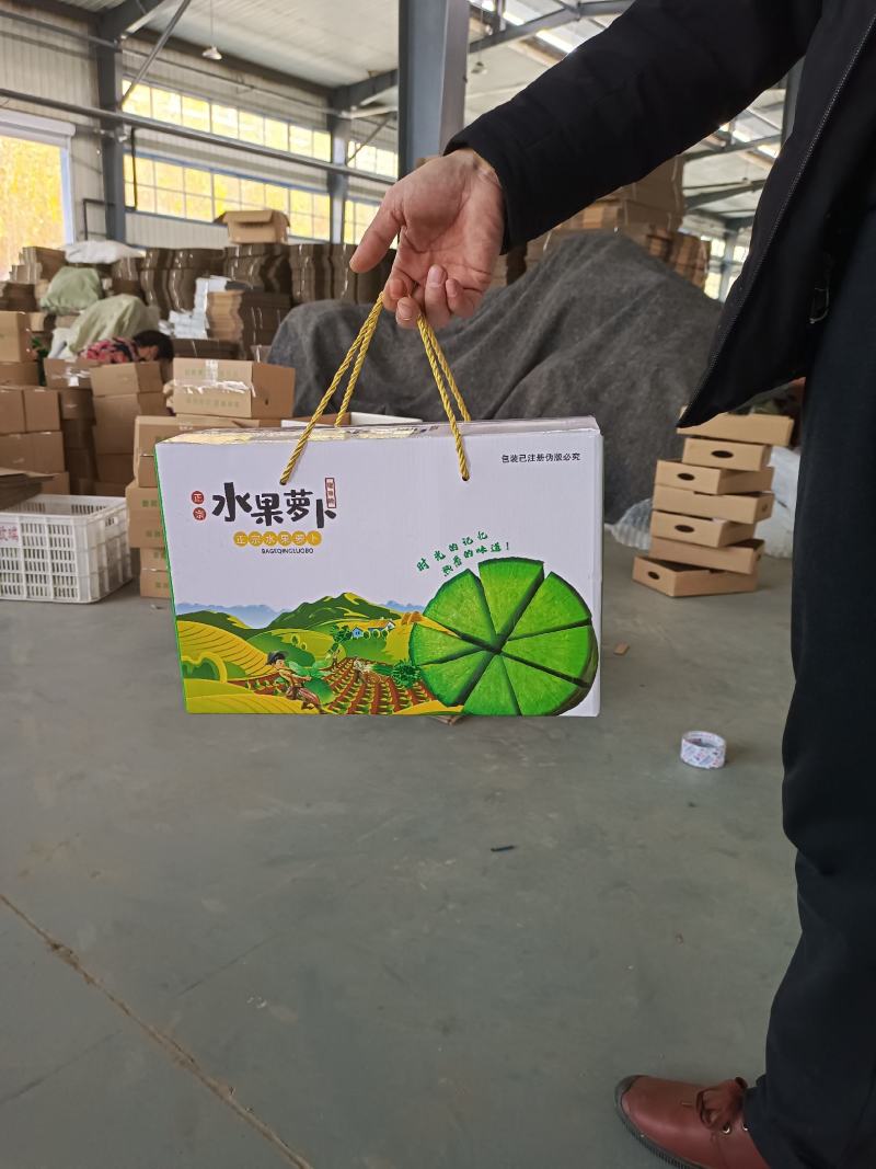 正宗水果萝卜，口感甜，全国包邮一件代发，供应商超