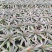 菠萝盆栽凤梨带果室内花卉植物表白神器送礼趣味水果苗好养可