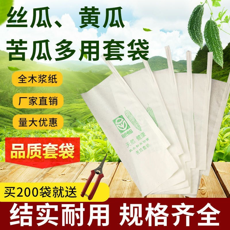 蔬菜水果套袋黄瓜/丝瓜/苦瓜套袋专用袋防虫袋防水防虫保护