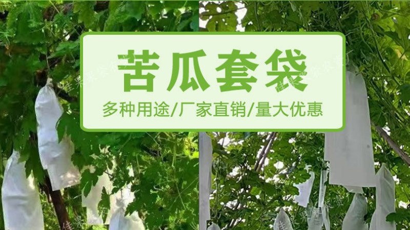 蔬菜水果套袋黄瓜/丝瓜/苦瓜套袋专用袋防虫袋防水防虫保护