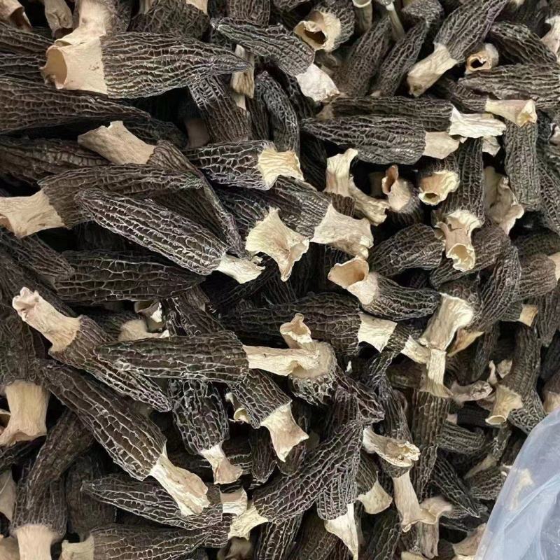 2022年头茬干羊肚菌5-8厘米的850一公斤