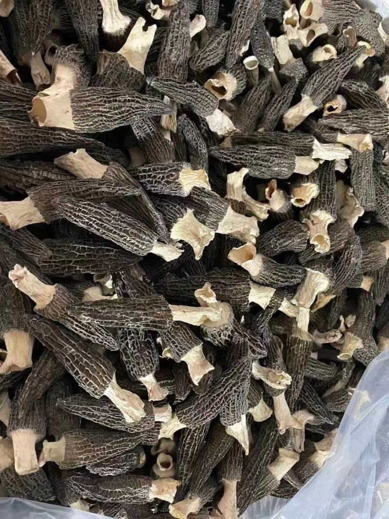 2022年头茬干羊肚菌5-8厘米的850一公斤