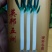 大葱种子英邦五洲硬杆冬青，株高170-180厘米，