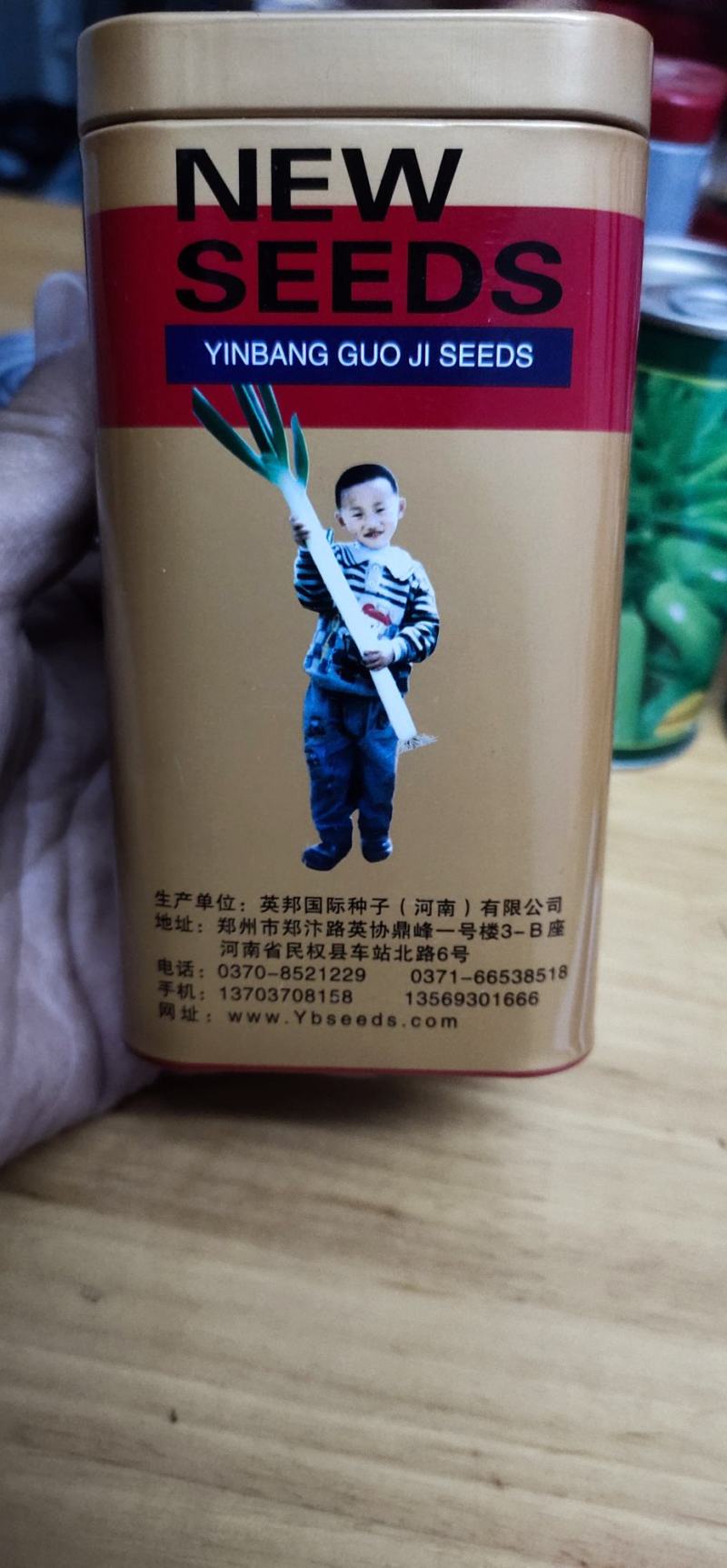 大葱种子英邦五洲硬杆冬青，株高170-180厘米，