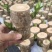 巴西木水养幸运木开花绿植室内盆栽水培植物格鲁特小树人四季