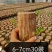 巴西木水养幸运木开花绿植室内盆栽水培植物格鲁特小树人四季