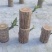 巴西木水养幸运木开花绿植室内盆栽水培植物格鲁特小树人四季