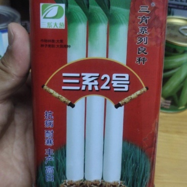 大葱种子三系2号抗霜冻，抗病能力强，不易折叶.