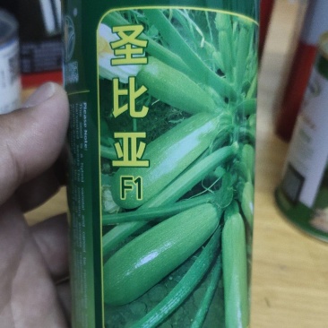 西葫芦种子圣比亚F1·瓜条顺直详细介绍请看包装说明谢