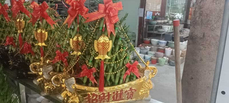 节节高富贵竹塔水培水养绿植盆栽招财转运竹子办公桌开业送礼