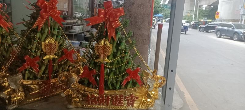 节节高富贵竹塔水培水养绿植盆栽招财转运竹子办公桌开业送礼