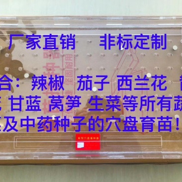 播种器，穴盘播种器，各种蔬菜穴盘播种器，各种规格现货供应