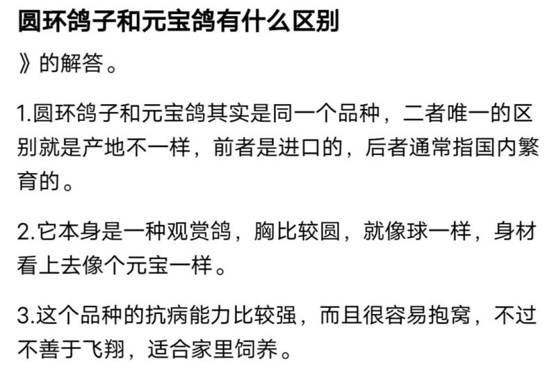 精品圆环鸽子大头眯眯眼白色黑色黄色花色