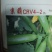 西葫芦种子京葫CRV4-2瓜翠绿色，光泽度好。长棒形