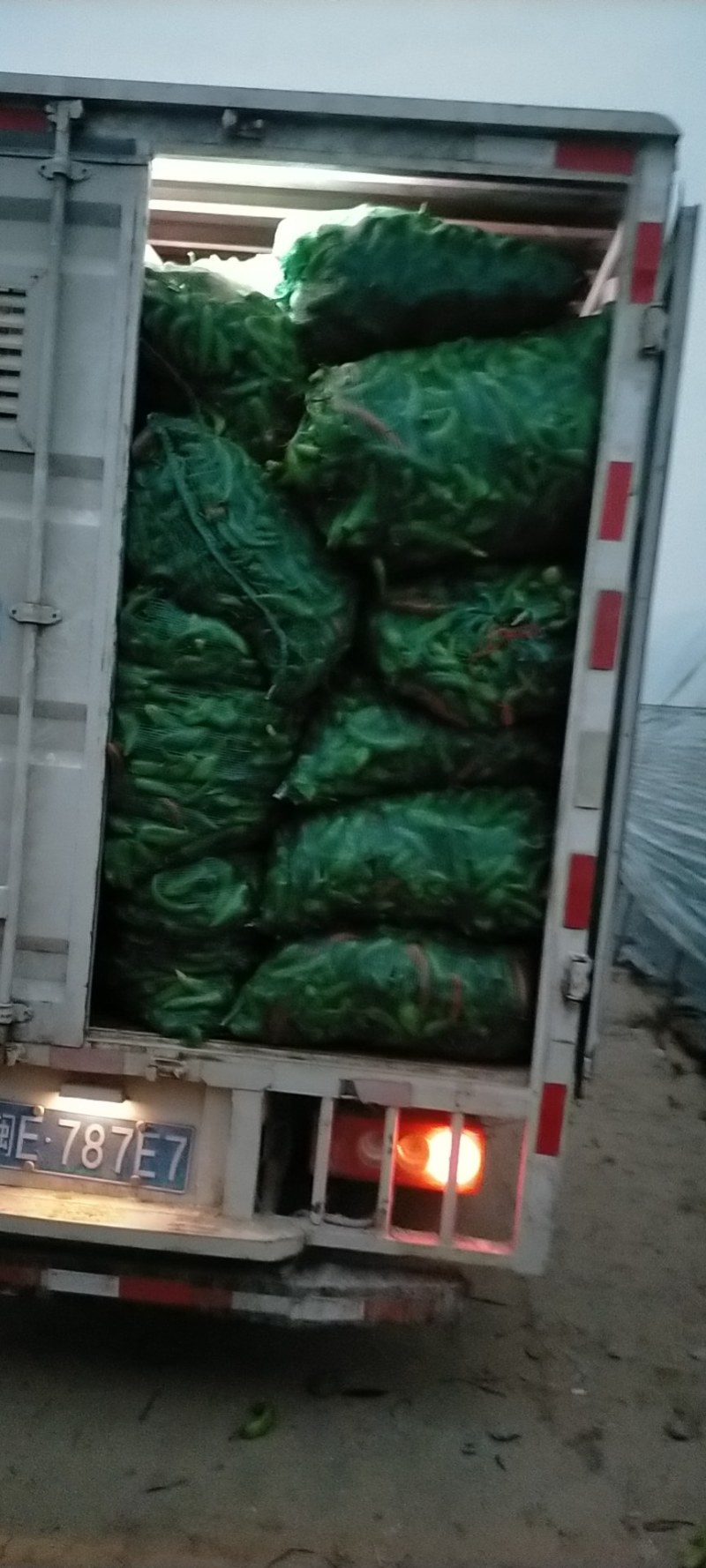 黄皮椒螺丝椒圆椒甜椒太空椒产地直发