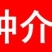 正宗嫁接苗四季蜜芒，金煌芒，贵妃芒，台农芒带土带叶发货