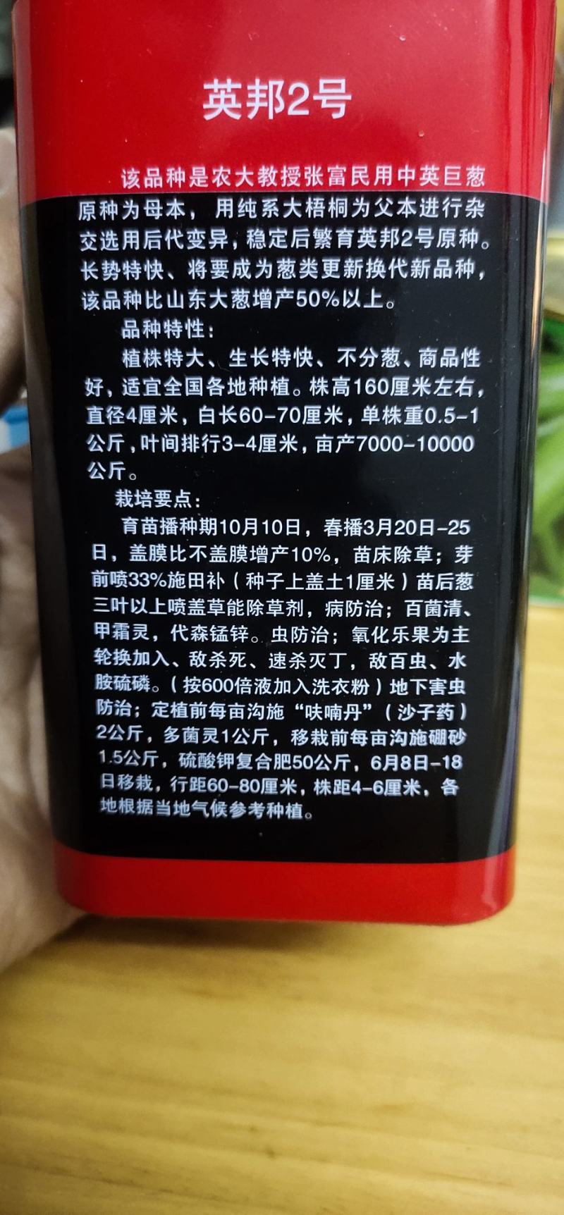 大葱种子英邦2号植株大、生长快、不分葱