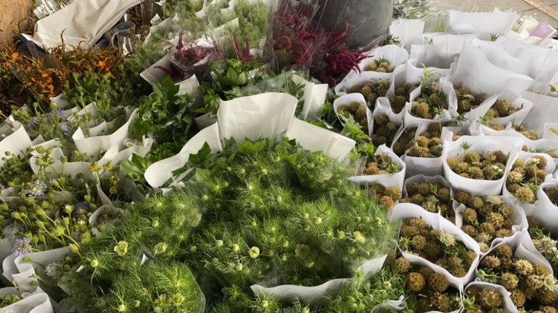 鲜花代购，发货商，鲜花批发商和花店进货渠道