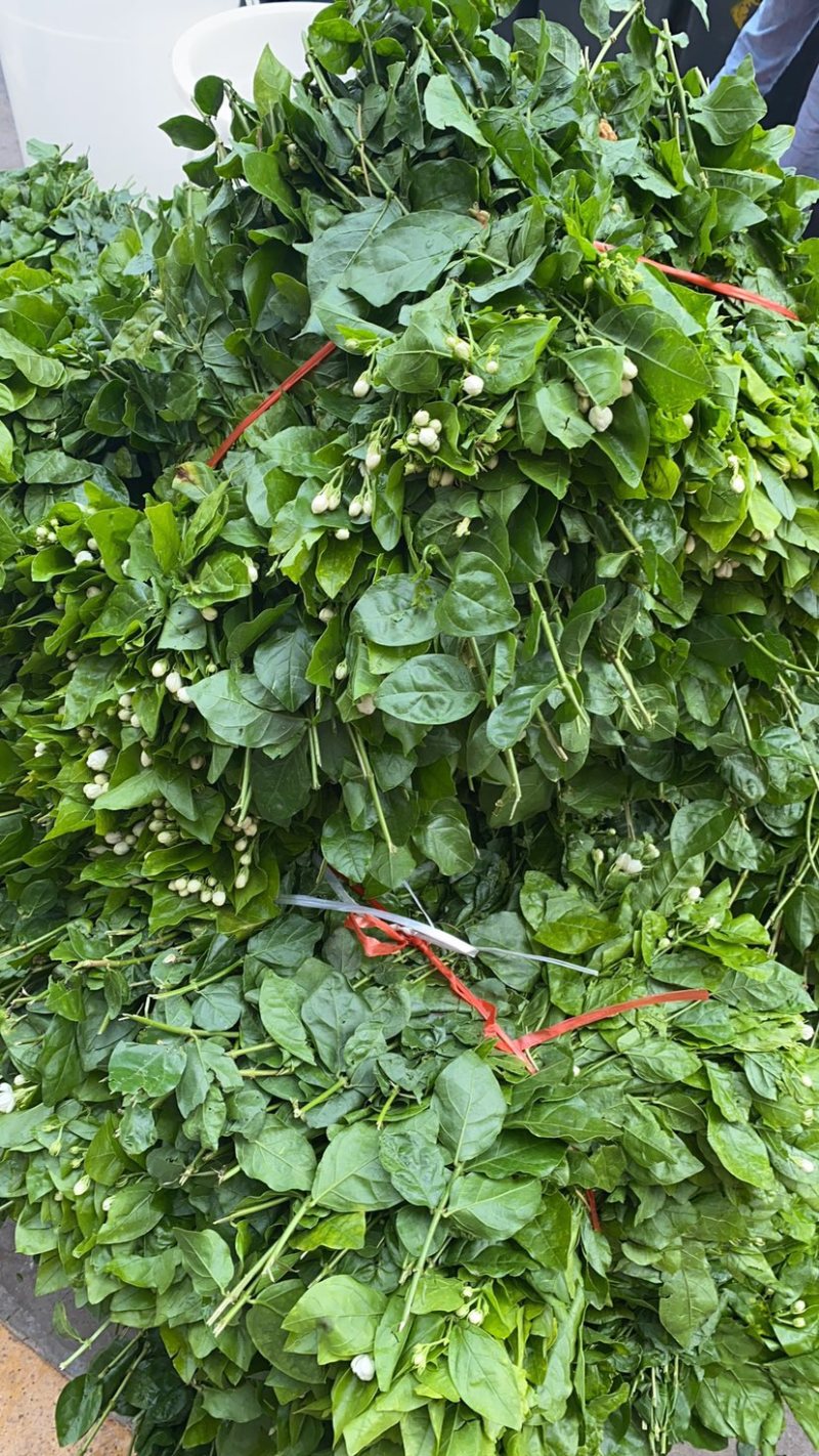 鲜花代购，发货商，鲜花批发商和花店进货渠道