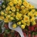 鲜花代购，发货商，鲜花批发商和花店进货渠道