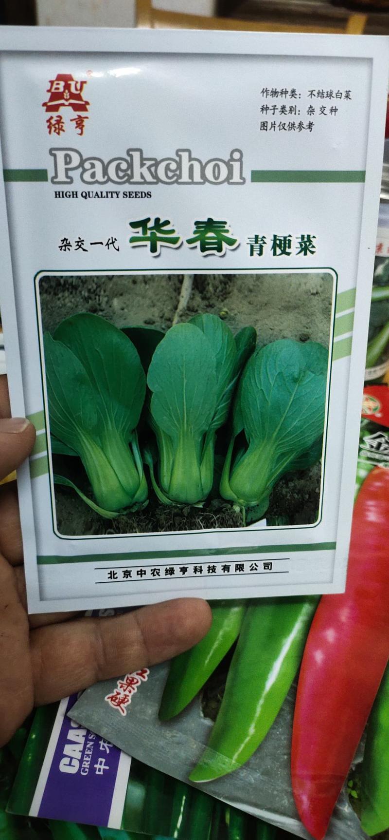 上海青华春青梗菜种子耐寒、晚抽薹，叶倒卵圆形，