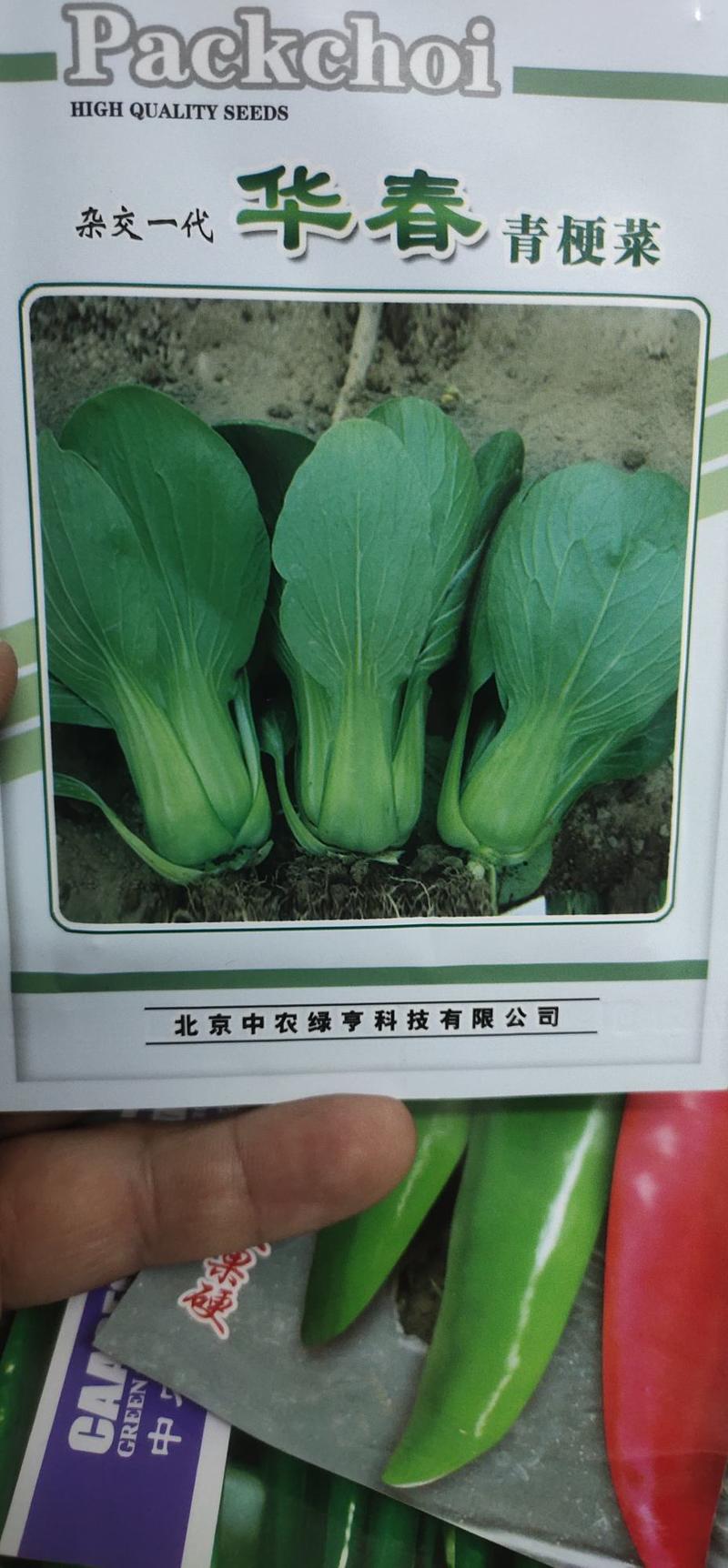 上海青华春青梗菜种子耐寒、晚抽薹，叶倒卵圆形，