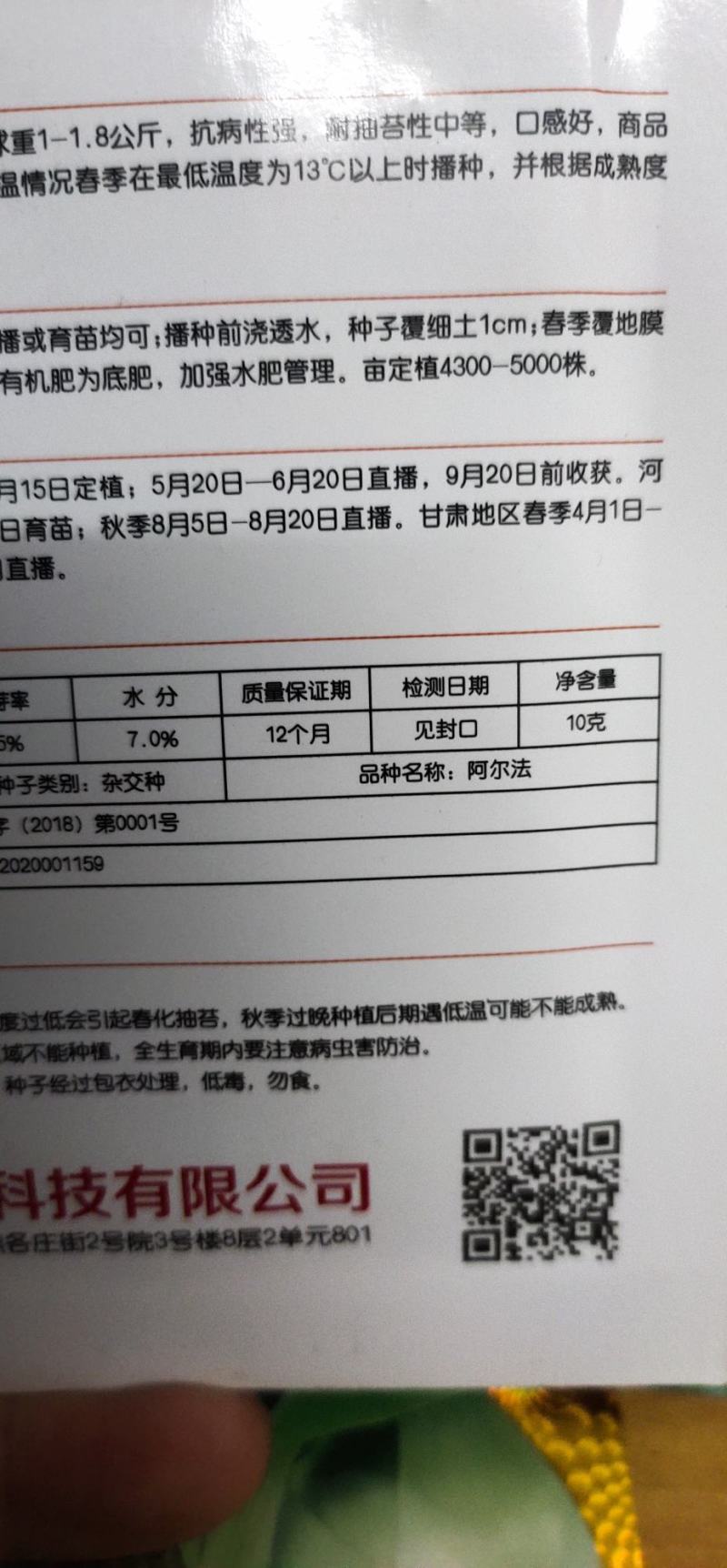 白菜种子阿尔法黄芯中型白菜，球形直筒型，
